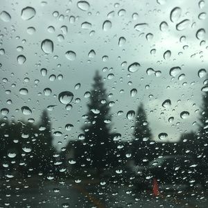 Meet your Posher, Irma